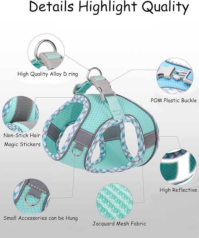 Petank Dog Harness for Small Medium Dogs No Pull, Puppy Harness and Leash Set, Step in Dog Harness for Walking, Running, Training, Small Dog Vest(Light Blue, XS)