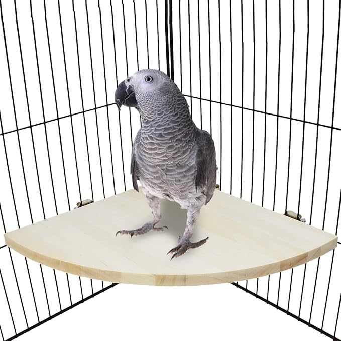 Wontee Bird Perch Stand 2 Pack Wooden Platform Corner Ledge for Budgies Cockatiels Conures African Greys Rats Gerbils Chinchillas Squirrels (XL (9.4"x9.4")