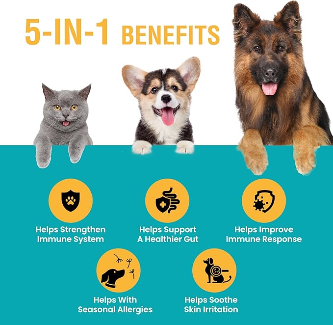 Special Breed Allergy & Immune with Elderberry, Allergy Relief for Cats and Dogs, Anti Itch Treatment, Relief for Pet Allergies, Immune Support for Cat or Dog, 4 oz
