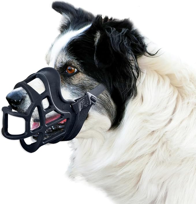 Dog Muzzle, OKKIC Basket Muzzle Anti Biting Chewing, Sturdy Lightweight Muzzle Allows Panting Drinking,Muzzle for Small Medium Large Dogs, Suitable for Grooming Trimming Training (Black, Size6)