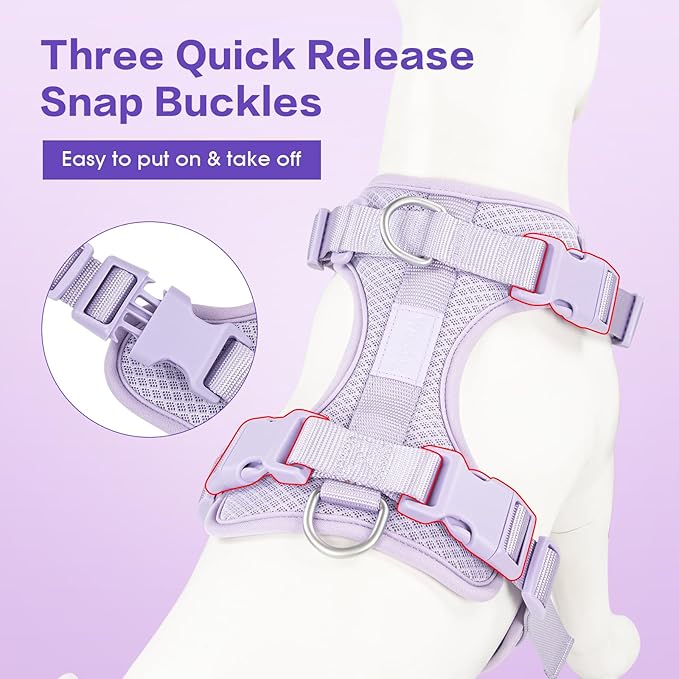 Wisedog Mesh Breathable Dog Harness: No Pull Harness with 3 Fast-Release Buckles Adjustable for Walking & Training for Small Medium Large Dogs (Lilac, M: Neck=17"-22"/Chest=15"-28")