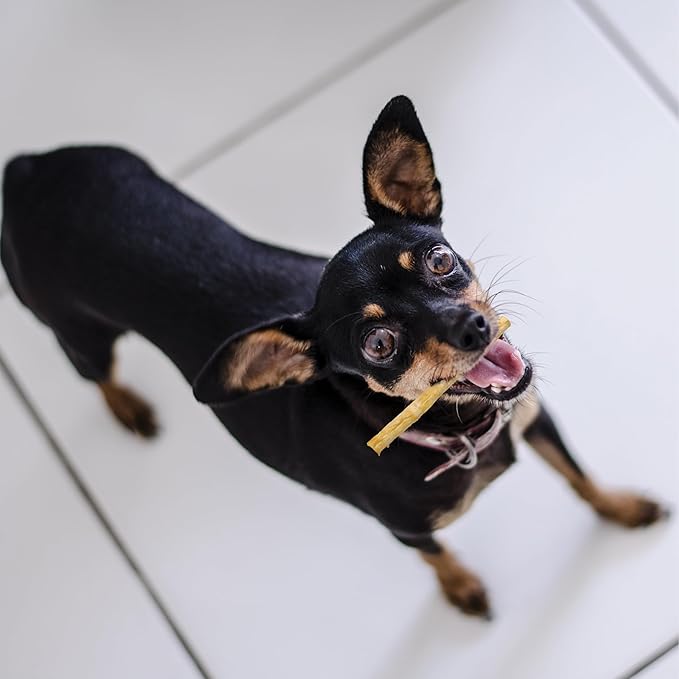 Fieldcrest Farms Nothin' to Hide Twist Stix, Beef Flavor, Easily Digestible, Supports Skin, Coat, Joints & Muscles, for Moderate Chewers Under 15lbs, 50 Pieces