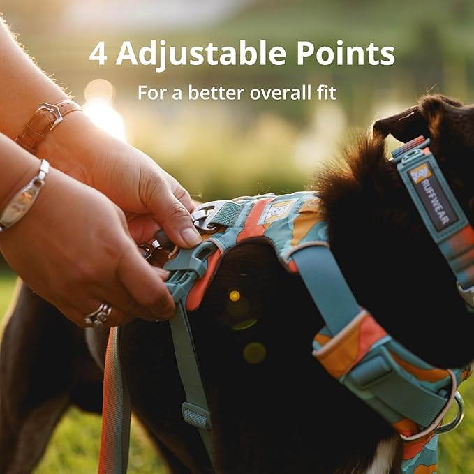 Ruffwear, Front Range Dog Harness, Reflective Soft Padded Everyday Harness with Dual Leash Clips, Adjustable and Lightweight Fit for Training or Walking for All Dogs, Spring Mountains, Medium