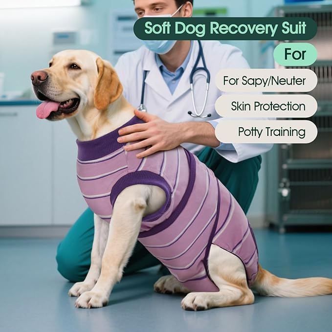 Kuoser Dog Surgery Recovery Suit for Female Male Dogs, Stripes Spay Neuter Anti-Licking Dog Onesie, Abdominal Wounds Surgical Suit Snugly Pet Collar Alternative Post Surgery Vest Bodysuit, Purple M