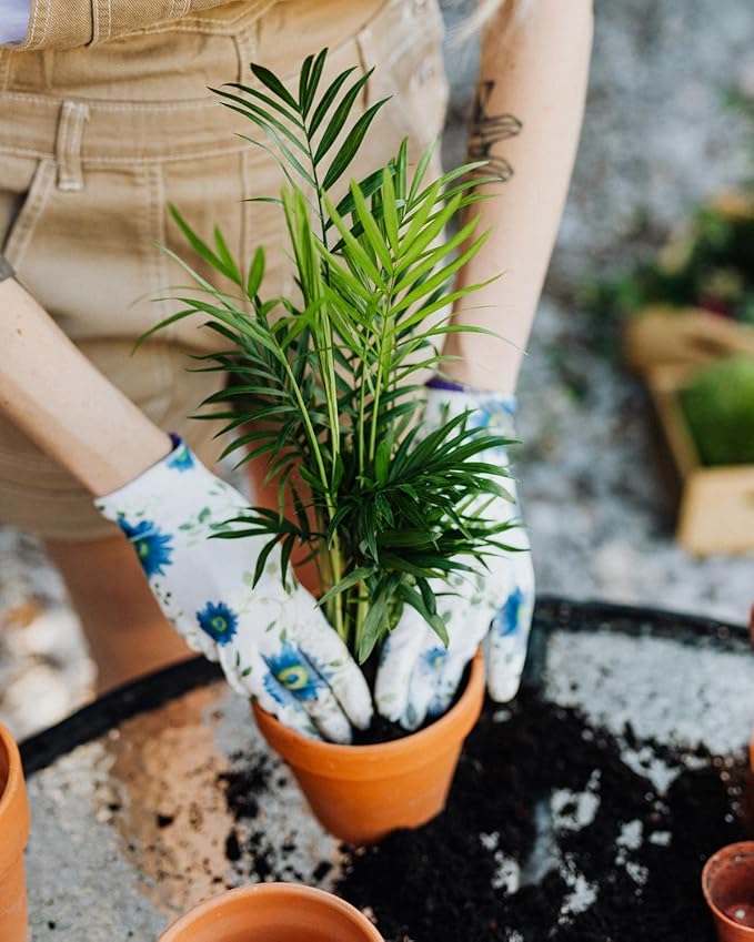 Gardenera's Premium Peace Lily Potting Mix The Perfect Growing Environment for Your Indoor Plants in Planters, Pots, and Containers [20 Quart Bag]