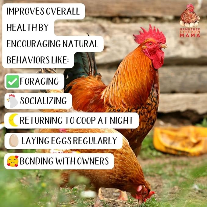 Kelp for Chickens & Duck Feed (1 Pound): Chicken Vitamins | Chicken Supplements | Vitamins for Chickens | Pampered Chicken Mama