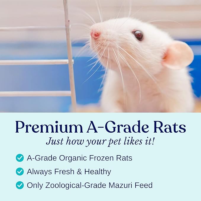 MiceDirect EST. 2003 20 Frozen Rat Medium Feeders Snake Food for for Adult Ball Python Monitor Lizard (6-8 in)(1700 Grams Min)