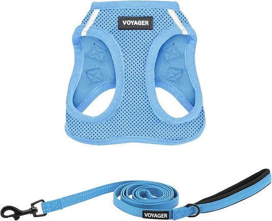 Best Pet Supplies Voyager Step-in Air All Weather Mesh Harness and Reflective Dog 5ft Leash Combo with Neoprene Handle, for Small, Medium and Large Breed Puppies - Set (Baby Blue), Small