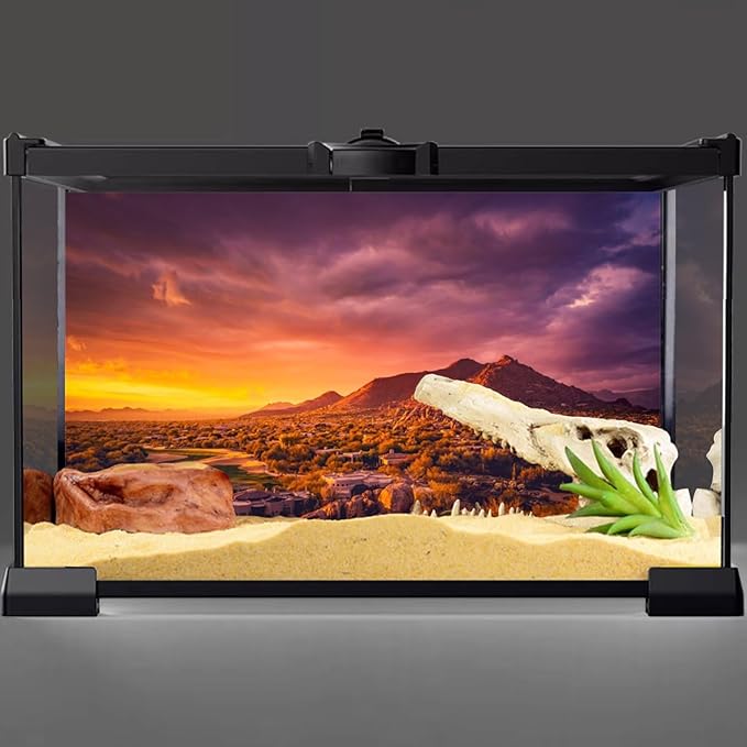 AWERT 72x24 inches Sun and Desert Terrarium Background Mountain Oasis Gobi Reptile Habitat Background Vinyl