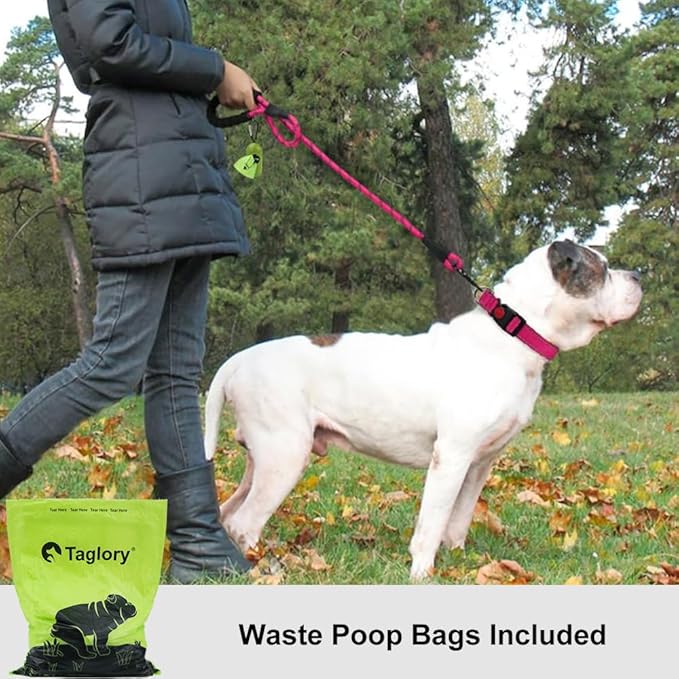 Taglory Rope Dog Leash 6 FT with Comfortable Padded Handle, Highly Reflective Threads Leash and Anti-Tangle Clip for Walking Medium Large Dogs, 1/2 inch, Hotpink