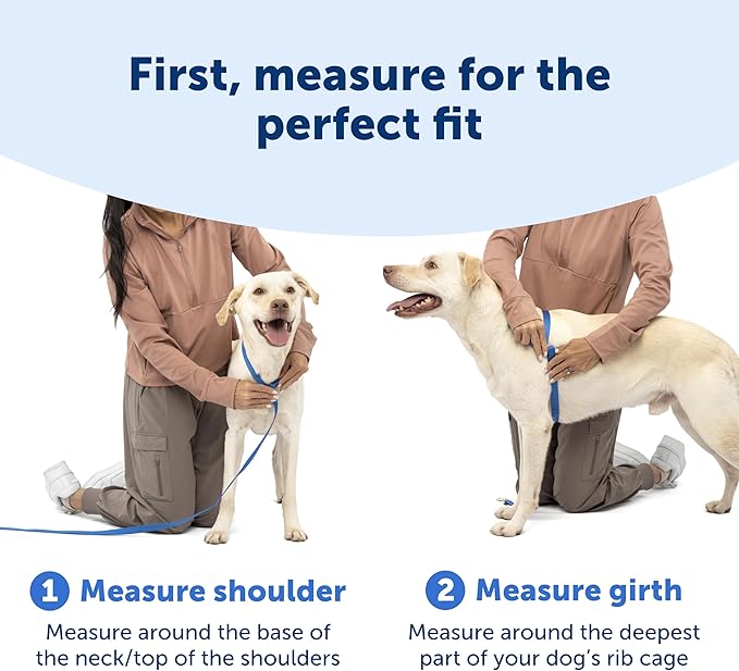 PetSafe Easy Walk Comfort No-Pull Dog Harness - Better Walk Training Harness - Full Body Padded Design - Durable Fabric - 5 Point Adjustable Fit - Everyday Leash Training - Black - Small/Medium