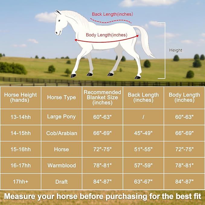 Horse Fleece Cooler, Blanket Liner - 300g Anti-Pilling Fleece, Moisture-Wicking, Cooling & Drying for Post-Workout, Bath & Travel, Prevent Overheating & Chilling Black 66
