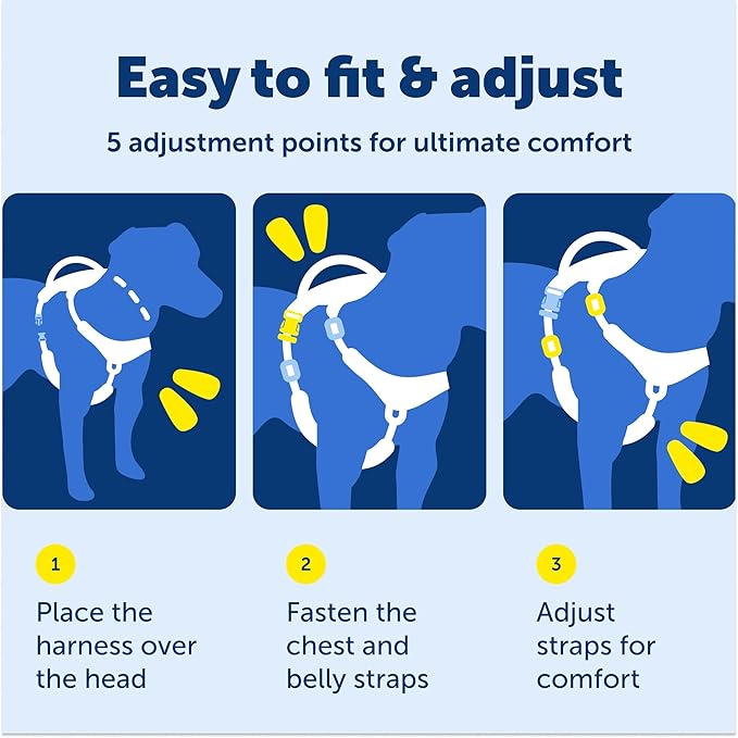 PetSafe Easy Walk Comfort No-Pull Dog Harness - Better Walk Training Harness - Full Body Padded Design - Durable Fabric - 5 Point Adjustable Fit - Everyday Leash Training - Blue - Large