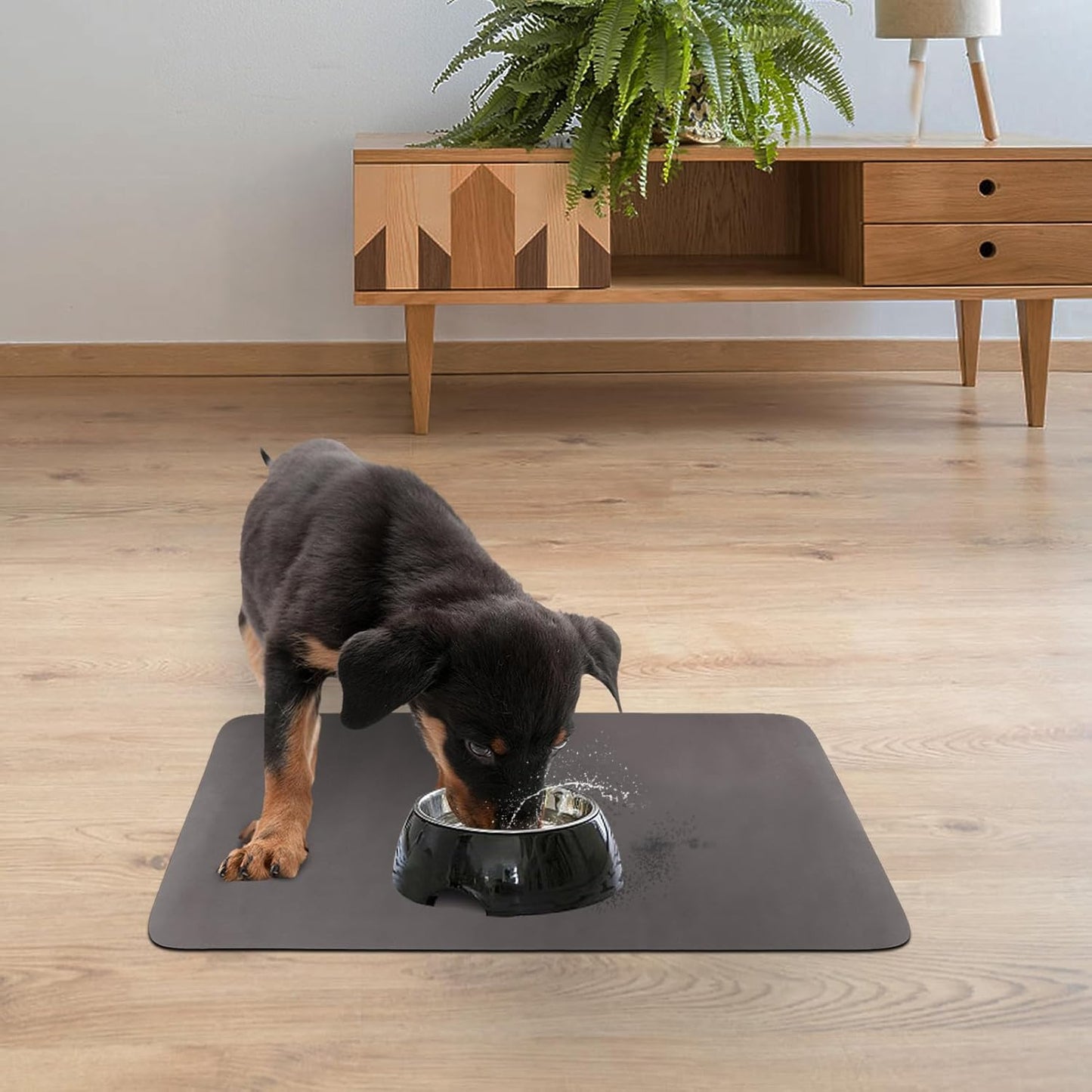 Quick Dry Absorbent Dog Food Mat, 19 x 12 in Diatom Mud Dog Water Bowl Mat, No Messy Anti-Slip Pet Feeding Mat Dog Supplies for Small Dogs