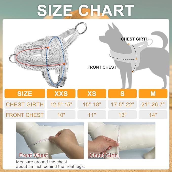 BEAUTYZOO Dog Harness for Small Dogs, No Pull Dog Harness and Leash Set, Soft Escape Proof Puppy Vest Harness with Handle, Reflective Lightweight Step in Harness for Girl Boy Dogs, Green S