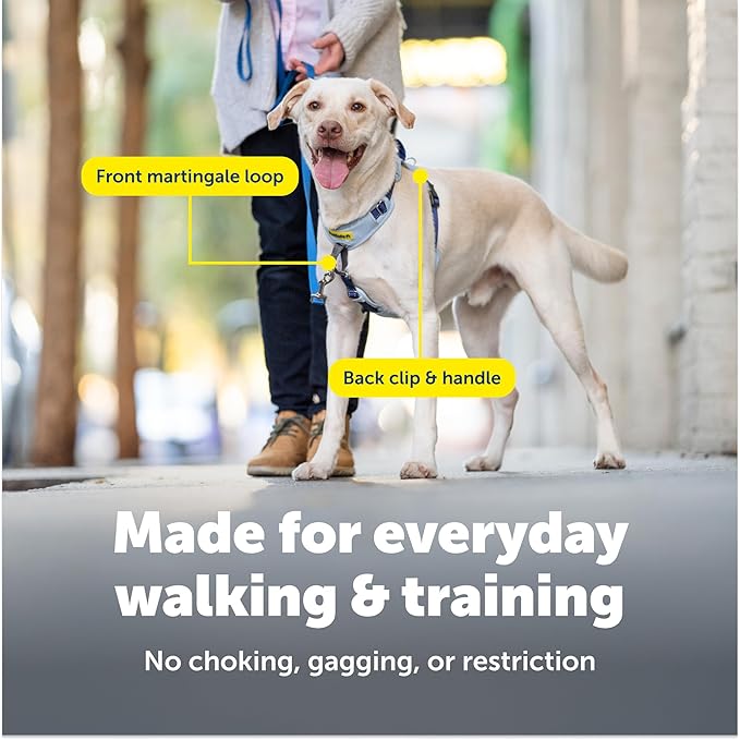 PetSafe Easy Walk Comfort No-Pull Dog Harness - Better Walk Training Harness - Full Body Padded Design - Durable Fabric - 5 Point Adjustable Fit - Everyday Leash Training - Pink - Large