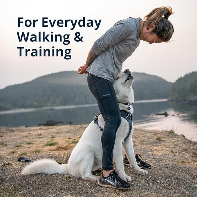 Ruffwear, Front Range Dog Harness, Reflective Soft Padded Everyday Harness with Dual Leash Clips, Adjustable and Lightweight Fit for Training or Walking for All Dogs, Coastal Mountains, Medium