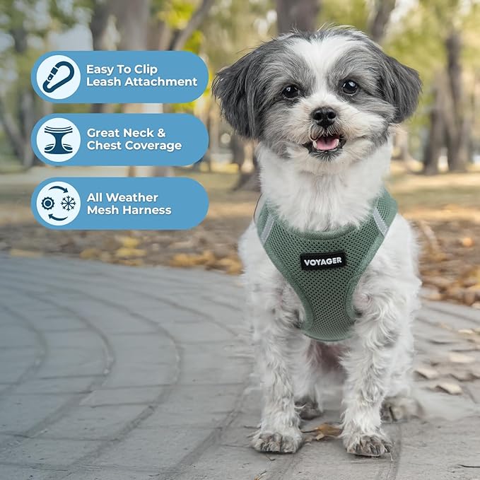 Best Pet Supplies Voyager Step-in Air Harness - All Weather Mesh, Reflective, No Pull Harness for Dogs, Cats - Secure with Hook & Loop Fastener, Buckle, Double D-Rings - Moss Green, XL