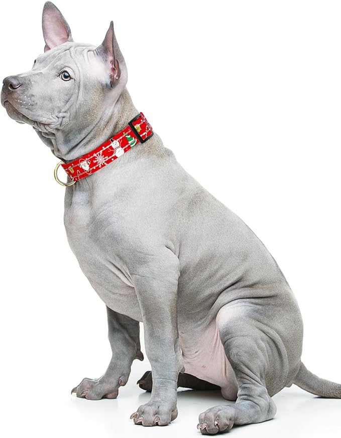 Reflective Dog Collar, Cute Christmas Style Dog Collars for Medium Dogs, Soft Nylon Puppy Collar for Boy and Girl Female Dog, Adjustable Heavy-Duty Pet Collar with Quick Release Buckle, Red