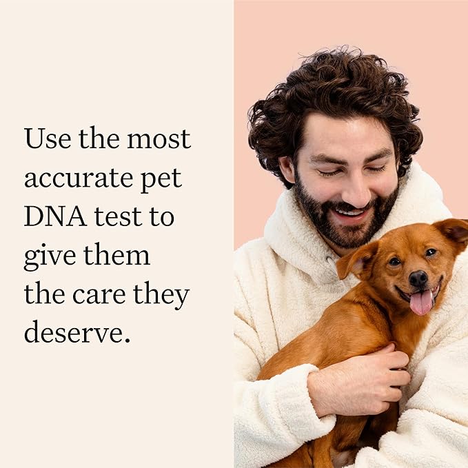 Wisdom Panel Premium Dog DNA Kit: Most Comprehensive with 265+ Health Tests, Identify 365+ Dog Breeds, 50+ Traits, Relatives, Ancestry, Genetic Diversity - Pack of 1