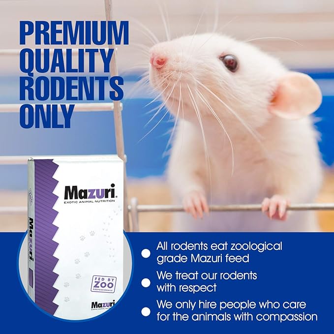 MiceDirect Frozen Mice Combo Pack of Small Pinkies & Pinkies Feeder Mice - Food for Corn Snakes, Ball Pythons, Lizards - 40 Ounce (Pack of 40)