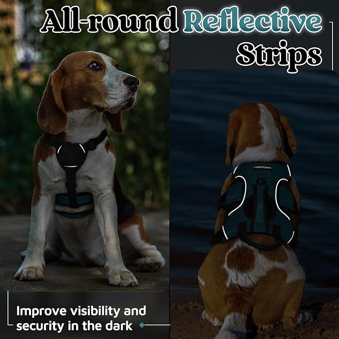rabbitgoo Escape Proof Dog Harness Small Sized Dog, Soft Padded Full Body Pet Harness, Reflective Adjustable Vest with Lift Handle and Leash Clip for Walking Hiking Training, Dark Green, S