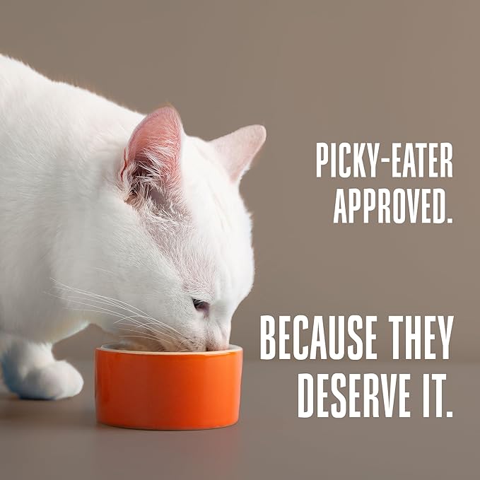 Whole Life Cat Freeze Dried Cat Food - Human-Grade Wet Food Toppers & Complement, Natural Broth, Hydrating Snacks, Lickable Treats, Just Add Water – Shredded Chicken, 3 Oz