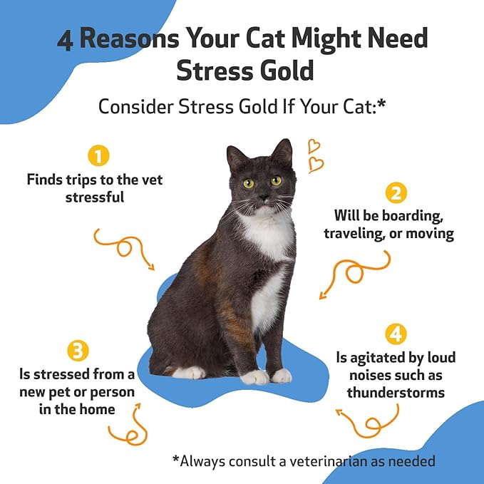 Pet Wellbeing Stress Gold for Cats - Occasional High Stress and Restlessness, Supports Relaxation, Travel, Vet Trips, Skullcap, Valerian - Veterinarian-Formulated Herbal Supplement 2 oz (59 ml)