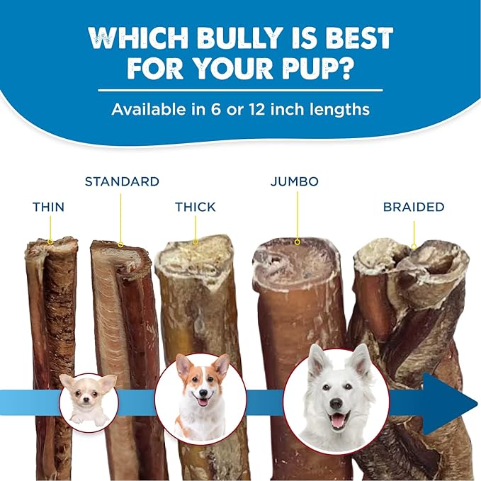 Best Bully Sticks 12 Inch Bully Sticks for Dogs - 10 Count (Pack of 1) - Natural, Easily Digestible, 100% Grass-Fed Beef, Grain and Rawhide Free