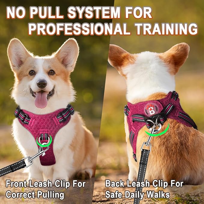 Dog Harness Step in Dog Vest Harness, Reflective Adjustable Puppy No Pull Harness Breathable Soft for Small and Medium Dogs Cats, Pink/Black, XXS