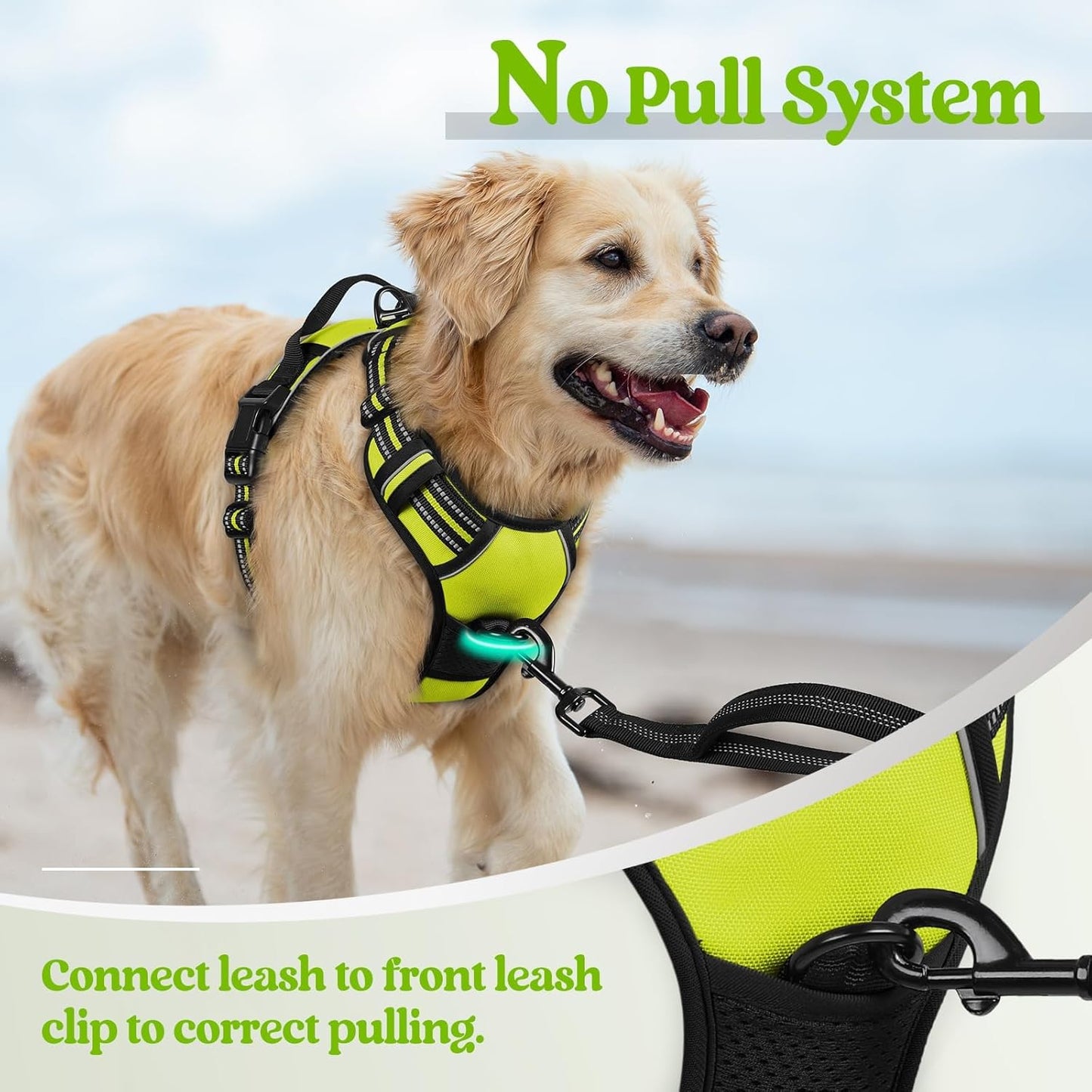 rabbitgoo Dog Harness No Pull with 2 Leash Clips, Adjustable Soft Padded, Reflective Oxford No Choke Pet Vest with Easy Control Handle for Large Dogs, Green, L