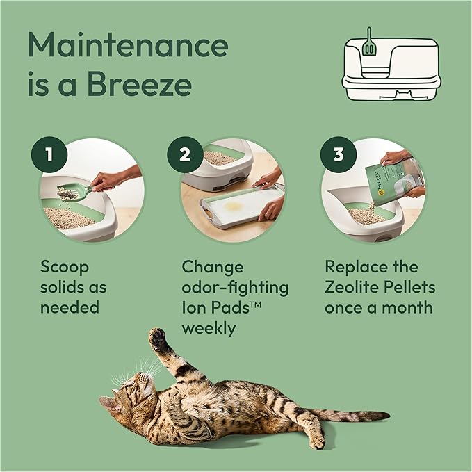 Purina Tidy Cats Litter System, Non-Clumping, Breeze XL All-in-One Odor Control & Easy Clean Multi Cat Box - 18 lb. Box