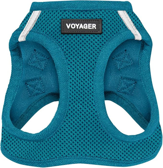 Best Pet Supplies Voyager Step-in Air Harness - All Weather Mesh, Reflective, No Pull Harness for Dogs, Cats - Secure with Hook & Loop Fastener, Buckle, Double D-Rings - Turquoise, XXXS