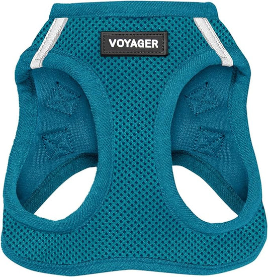 Best Pet Supplies Voyager Step-in Air Harness - All Weather Mesh, Reflective, No Pull Harness for Dogs, Cats - Secure with Hook & Loop Fastener, Buckle, Double D-Rings - Turquoise, XXS