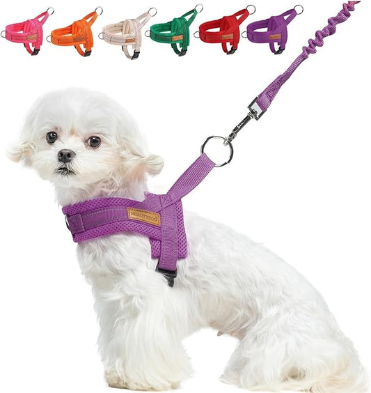 BEAUTYZOO Dog Harness for Small Dogs, No Pull Dog Harness and Leash Set, Soft Escape Proof Puppy Vest Harness with Handle, Reflective Lightweight Step in Harness for Girl Boy Dogs, Purple XS