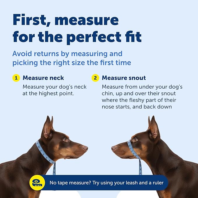 PetSafe Gentle Leader Headcollar No-Pull Dog Collar - Helps Improve Walks - Durable Nylon Construction - Padded Nose Loop - Adjustable Fit - Comfort Walking Halter - Small, Silver