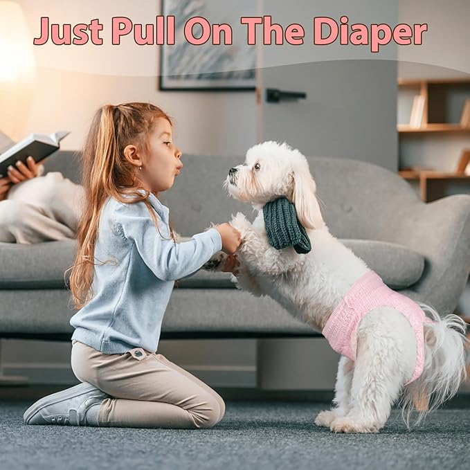 Ambreview Disposable Dog Diapers Female, Just Pull It Up, Doggie Diapers for Female Dogs, Strong Absorbency | Leak Proof, for Dogs in Heat | Elderly | Disabled, S 10 PCS