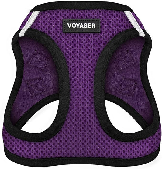 Best Pet Supplies Voyager Step-in Air Harness - All Weather Mesh, Reflective, No Pull Harness for Dogs, Cats - Secure with Hook & Loop Fastener, Buckle, Double D-Rings - Purple/Black Trim, M