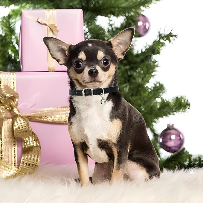 Purple Kitten Collar with Bell, Soft Pu Leather Small Dog Collars Adjustable Buckle for XXS XS Extra Small Medium Tiny Female Male Boys Girls Pets Cats Puppy Teacup Yorkie XX-Small