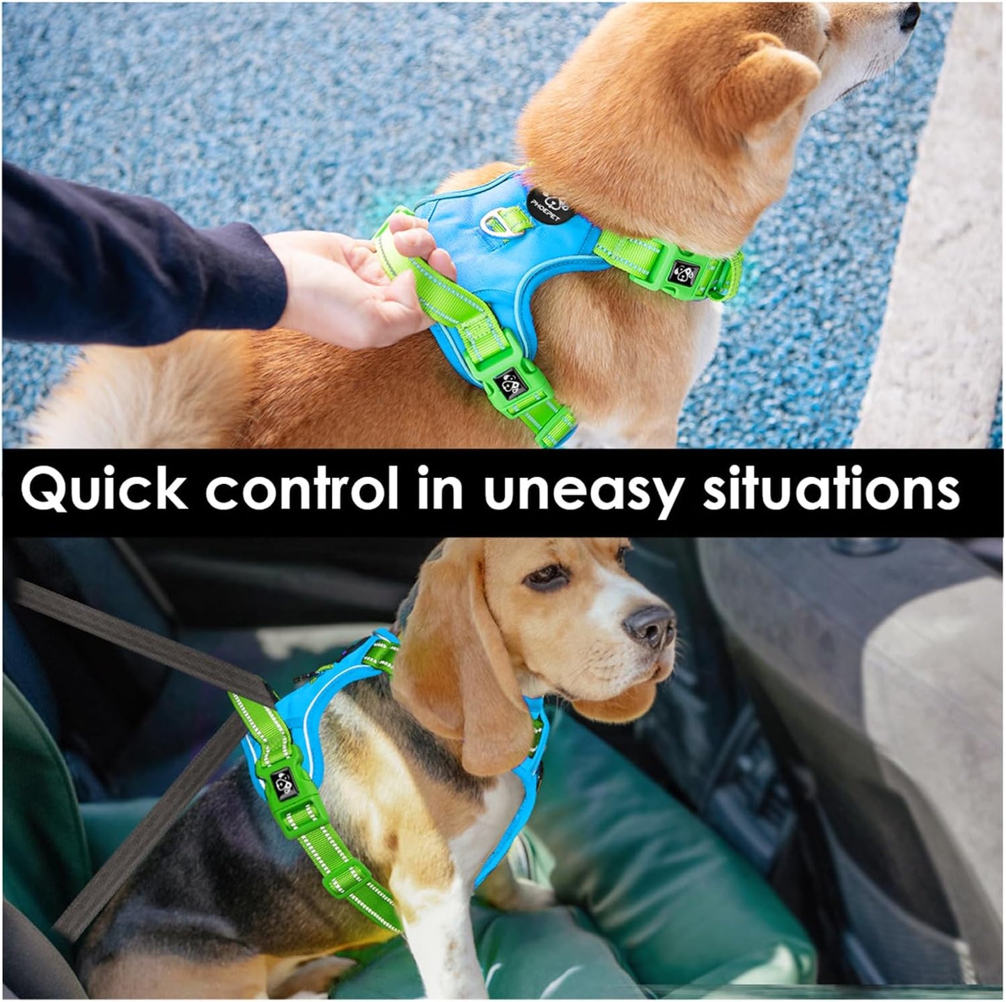 PHOEPET No Pull Dog Harness, Unique Colors Reflective Adjustable Dog Vest, with Soft Training Handle Metal Clips for Small Medium Large Dogs (Blue Base & Green Straps,L)