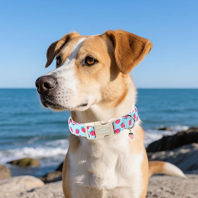 Unique style paws Dog Collar Plastic Buckle with Pendant Puppy Collar for Spring Summer Blue Strawberry for Small Medium Large Boys Girls Dogs