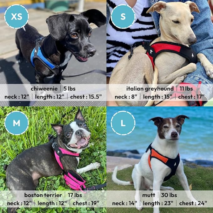 Gooby Escape Free Easy Fit Harness - Red, Small - No Pull Step-in Patented Dog Harness with Quick Release Buckle for Small to Medium Dogs