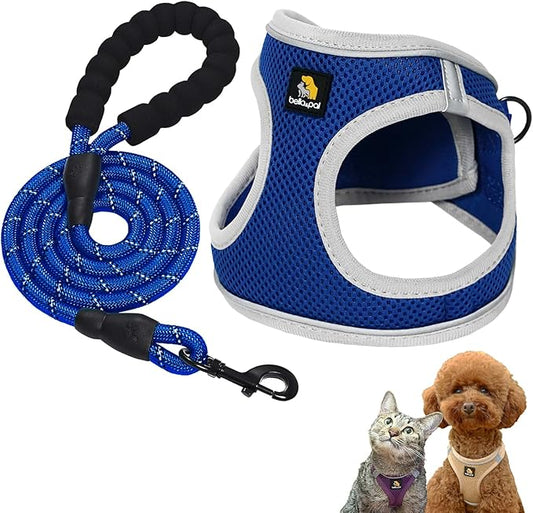 BELLA & PAL Step in Vest Harness for Small and Medium Dogs, No Pull Small Dog Harness with Leash Set, Comfortable Air Mesh Dog Vest Harness with Reflective Strip (Sapphire(Round Rope), S)