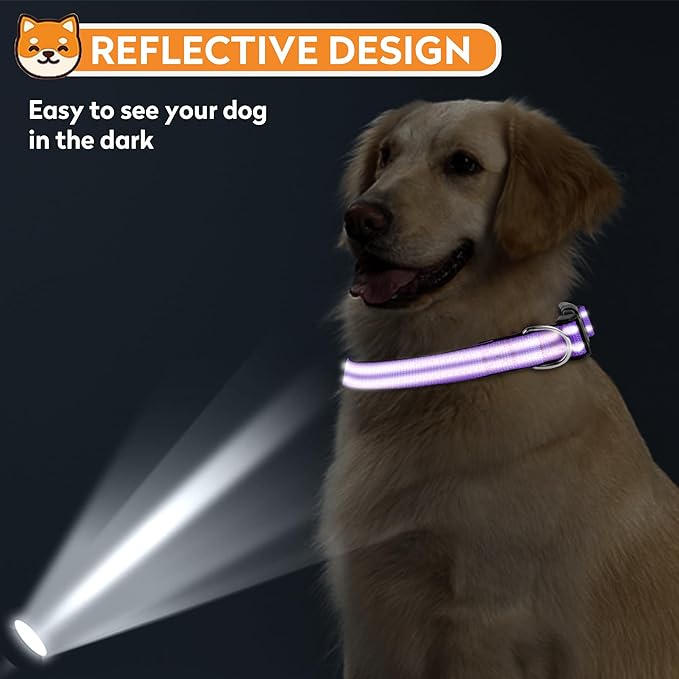 Reflective Dog Collar, Adjustable Soft Neoprene Padded Nylon Pet Collars with Buckle for Puppy and Small Dogs, Cats, Purple,XS