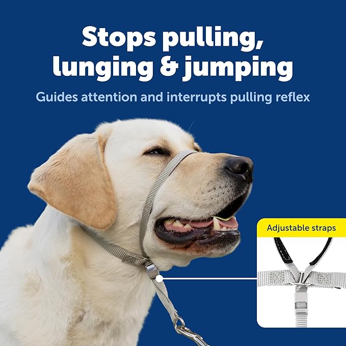 PetSafe Gentle Leader Headcollar No-Pull Dog Collar - Helps Improve Walks - Durable Nylon Construction - Padded Nose Loop - Adjustable Fit - Comfort Walking Halter - Medium, Fawn