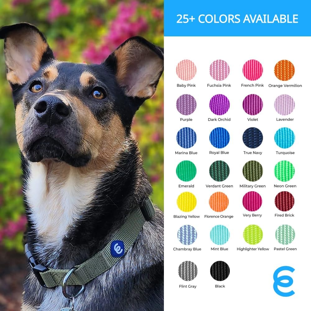 Blueberry Pet Essentials Small Dog Collar in Baby Pink | Adjustable & Eco-Friendly Durable Nylon Strap | Classic Collar for Small Dogs, Boy & Girl Pets