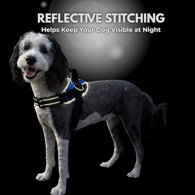 ShawnCo Essential Dog Harness, No-Pull Pet Vest with 3 Leash Clips, No Choke, Reflective, Adjustable and Padded, for Easy Walking and Training for Small, Medium and Large Dogs (White Marble, XL)