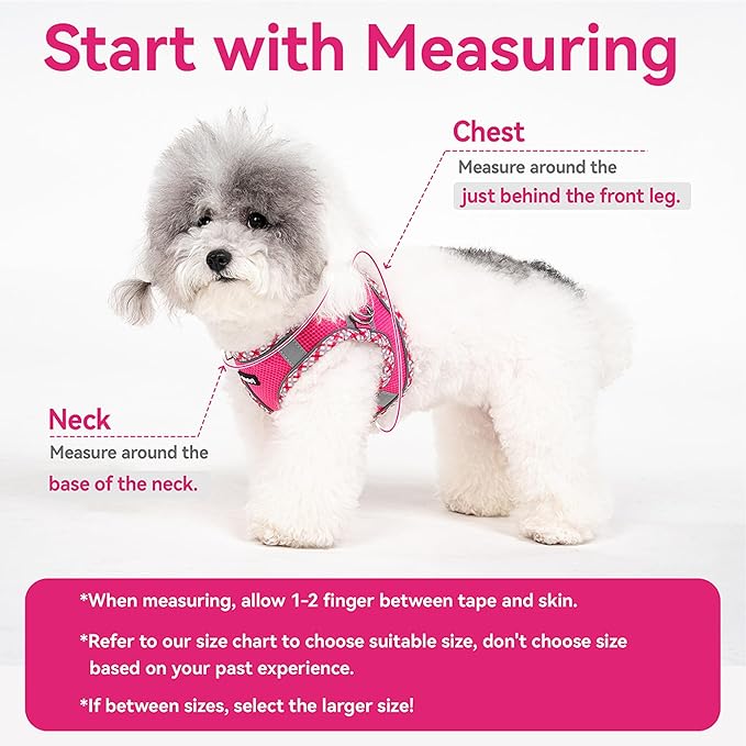 Petank Dog Harness for Small Medium Dogs No Pull, Puppy Harness and Leash Set for Walking, Running, Training, Small Dog Harness, Medium Dog Harness (Grey, S)