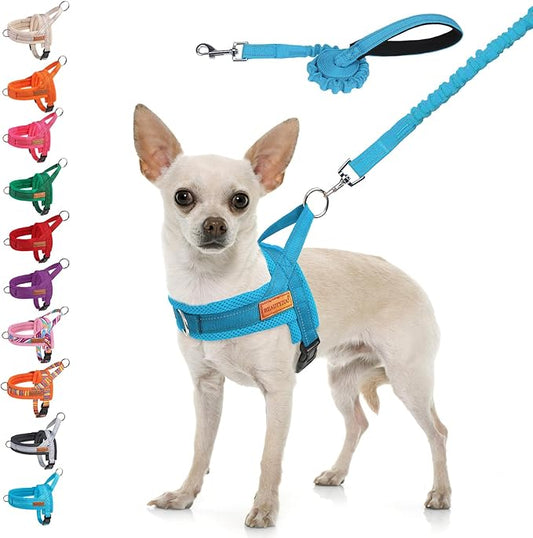 BEAUTYZOO Dog Harness for Small Dogs, No Pull Dog Harness and Leash Set, Soft Escape Proof Puppy Vest Harness with Handle, Reflective Lightweight Step in Harness for Girl Boy Dogs, Blue XS