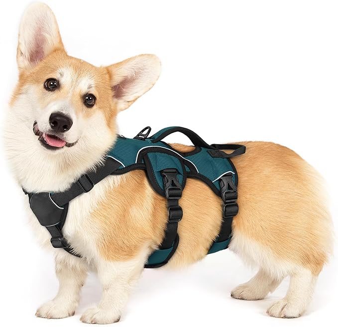 rabbitgoo Escape Proof Dog Harness Small Sized Dog, Soft Padded Full Body Pet Harness, Reflective Adjustable Vest with Lift Handle and Leash Clip for Walking Hiking Training, Dark Green, S